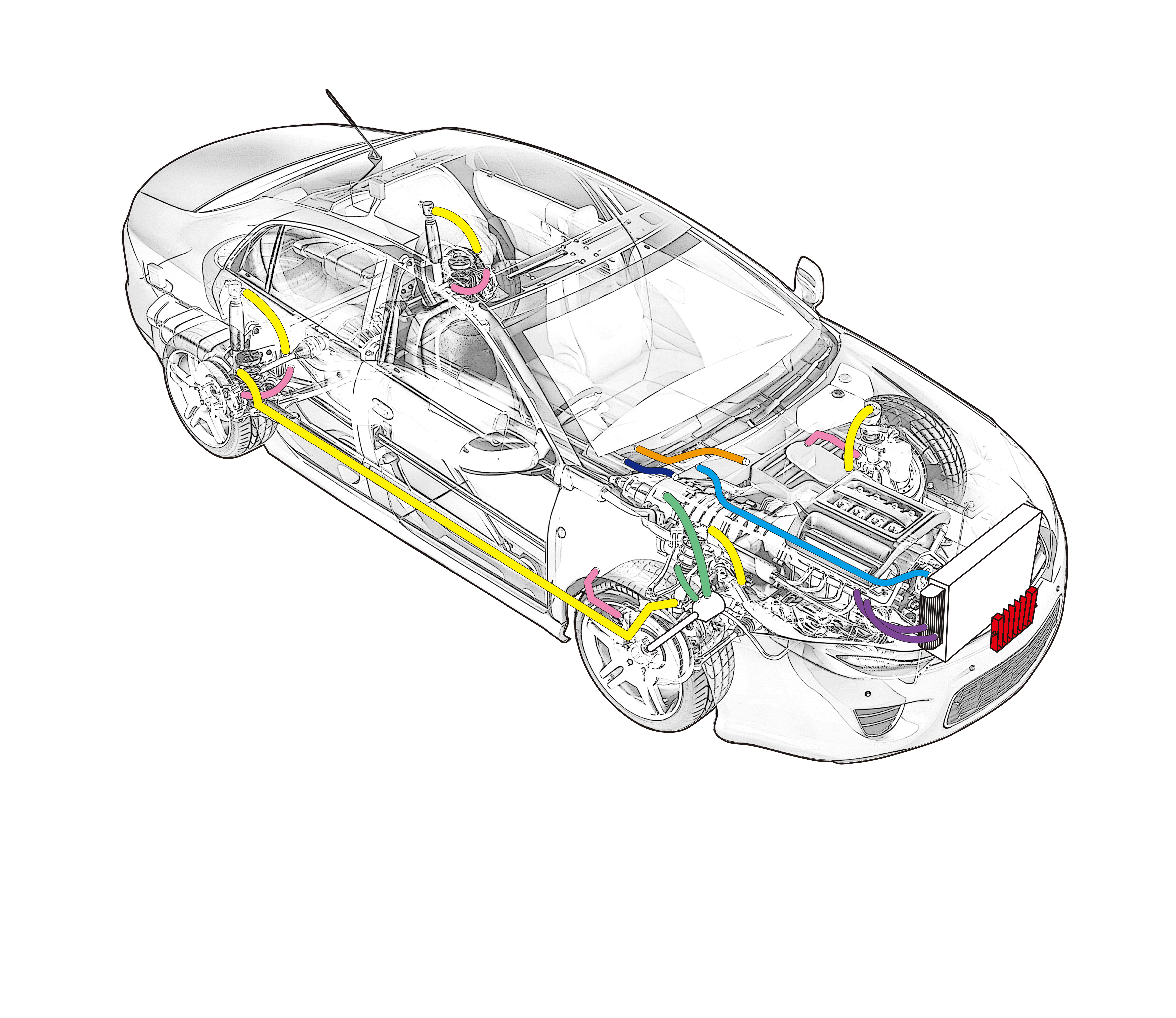 Automobile Hoses